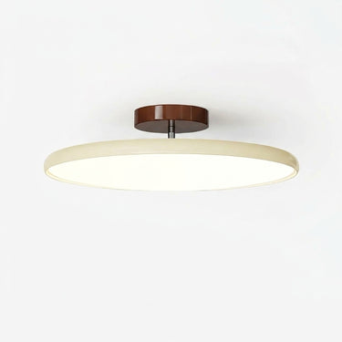 Swivel Arm Acrylic Ceiling Light | Dimmable Sloped-Ceiling LED – on a clean white background