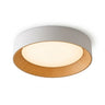 Wood-Tone Round Flush Mount Light | Slim LED Ceiling Fixture – on a clean white background