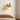 Pastel Globe Wall Sconce | Wood Accent Light with Pull Chain – switched on in a room