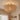 Scalloped Rattan Flush Mount Ceiling Light | Woven Shell Fixture – detail view