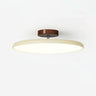 Swivel Arm Acrylic Ceiling Light | Dimmable Sloped-Ceiling LED – on a clean white background